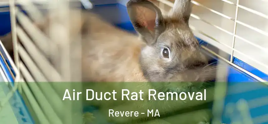  Air Duct Rat Removal Revere - MA