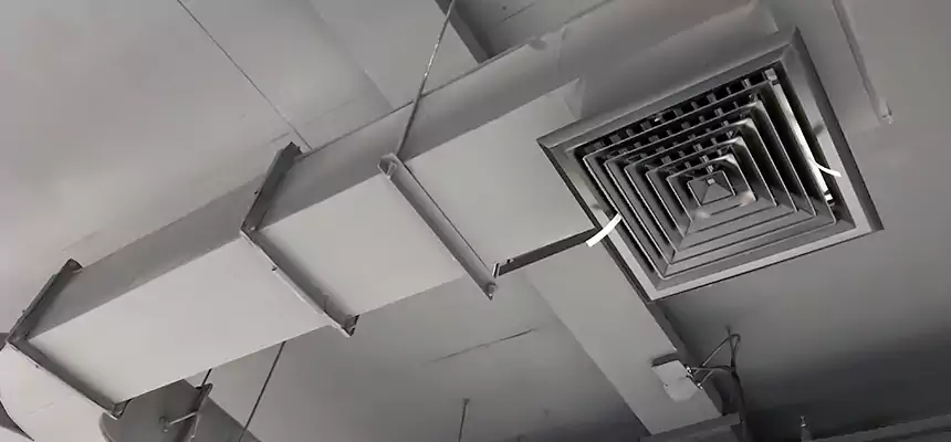 Restorative Allergy Relief Vent Cleaning – Coil, Blower & Housing Detail in Revere