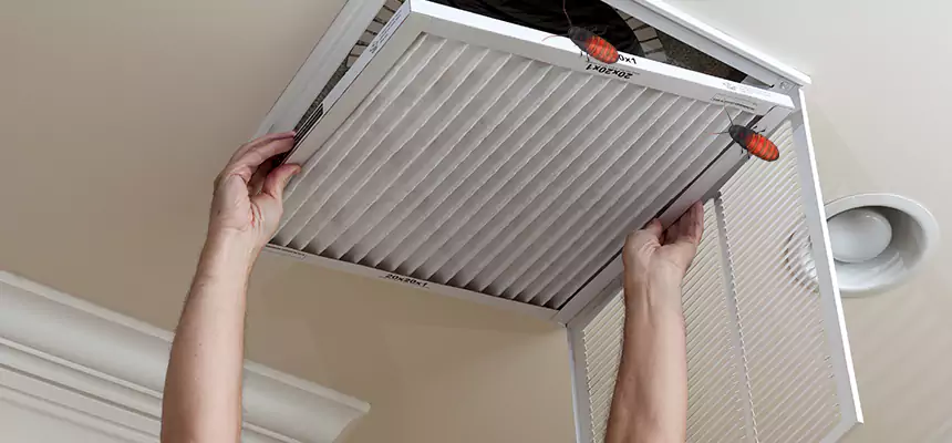 Our Insect Removal from Air Ducts Services in Revere, MA