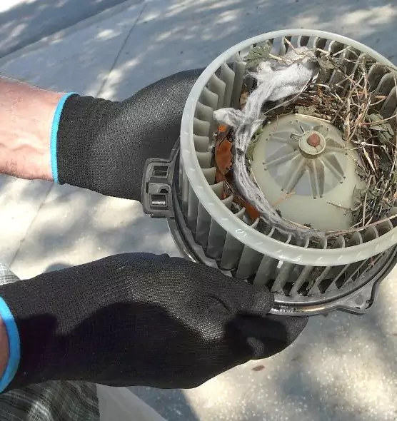 About Air Duct Mice Removal in Revere, MA