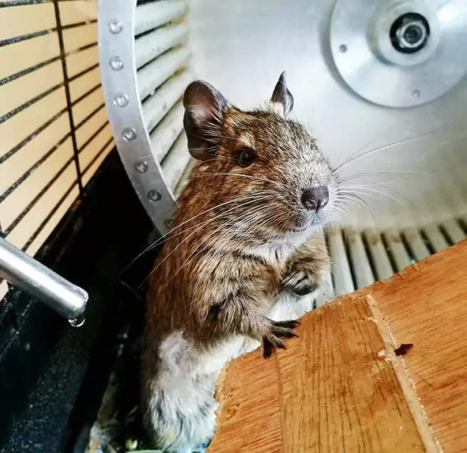 Why Homeowners & Businesses Trust Us Revere, MA?