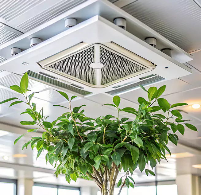 Why Homeowners & Businesses Trust Us in Revere, MA?