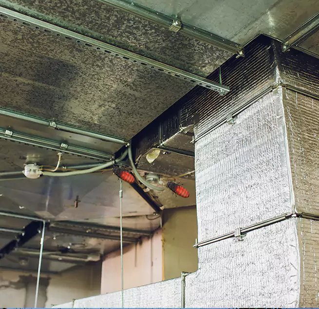 Why Homeowners & Businesses Trust Us Revere, MA?